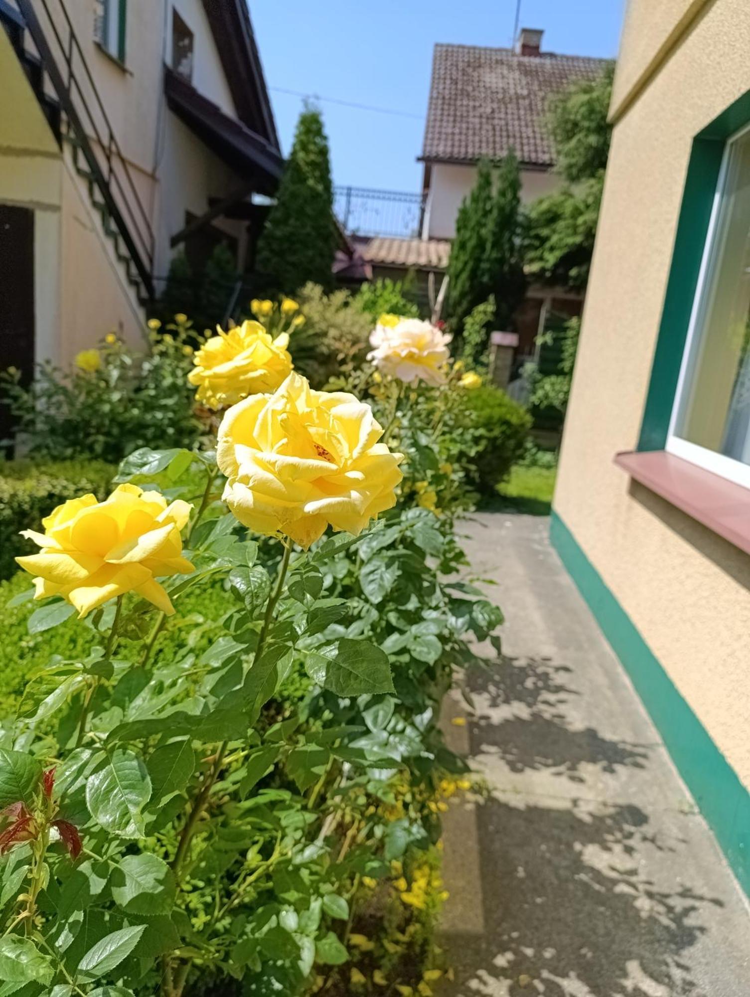 Hotel Mietowa Przystan Großmöllen Exterior foto